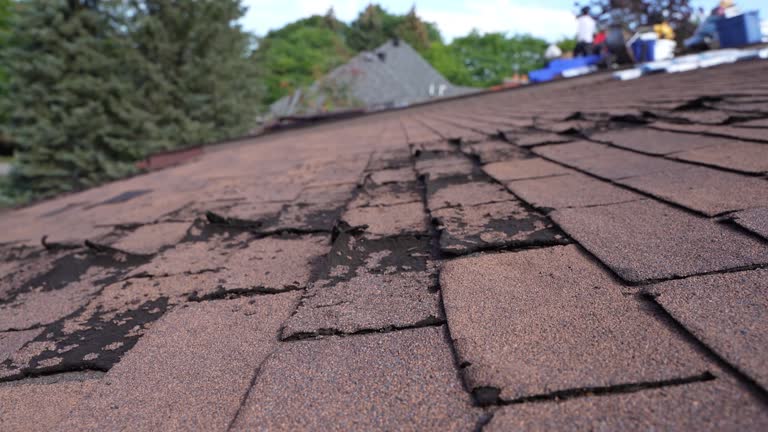 Best Commercial Roofing Services  in Dilley, TX