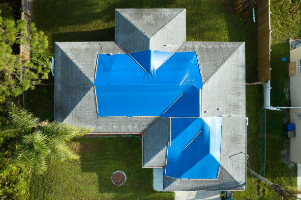 Best Cold Roofs  in Dilley, TX