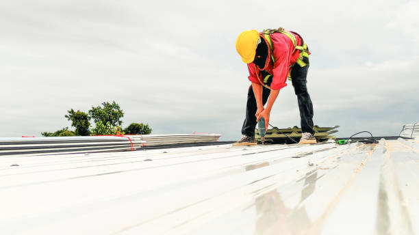 Best 4 Ply Roofing  in Dilley, TX