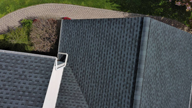 Best Skylight Installation and Repair  in Dilley, TX