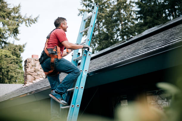 Best Chimney Flashing Repair  in Dilley, TX